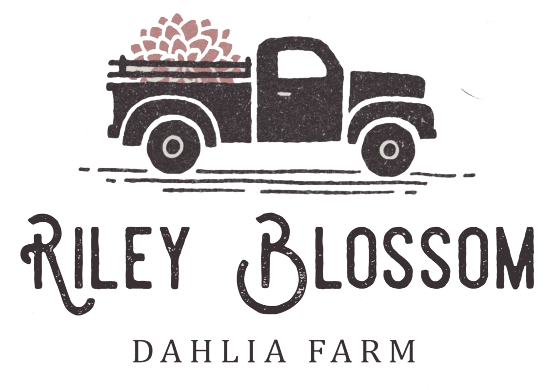 Rileyblossom